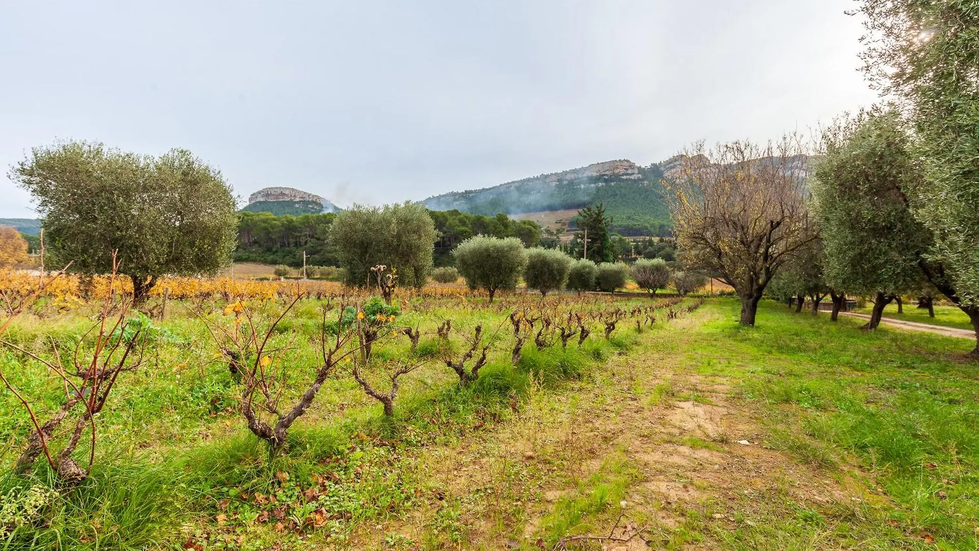 Lou Jas - Cassis Villa France